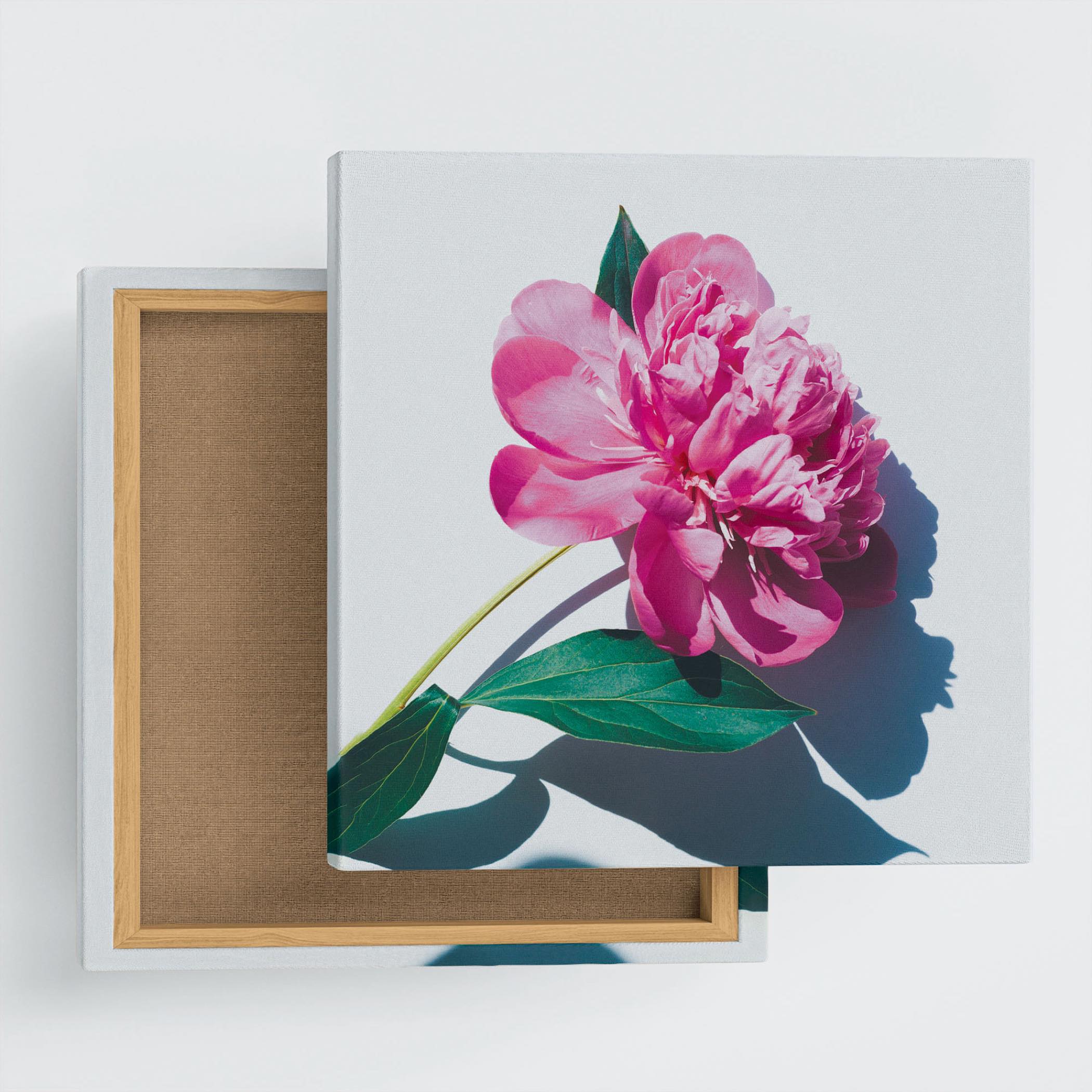 花のアートパネル インテリア雑貨 オレンジ poht-2205-01 つ178