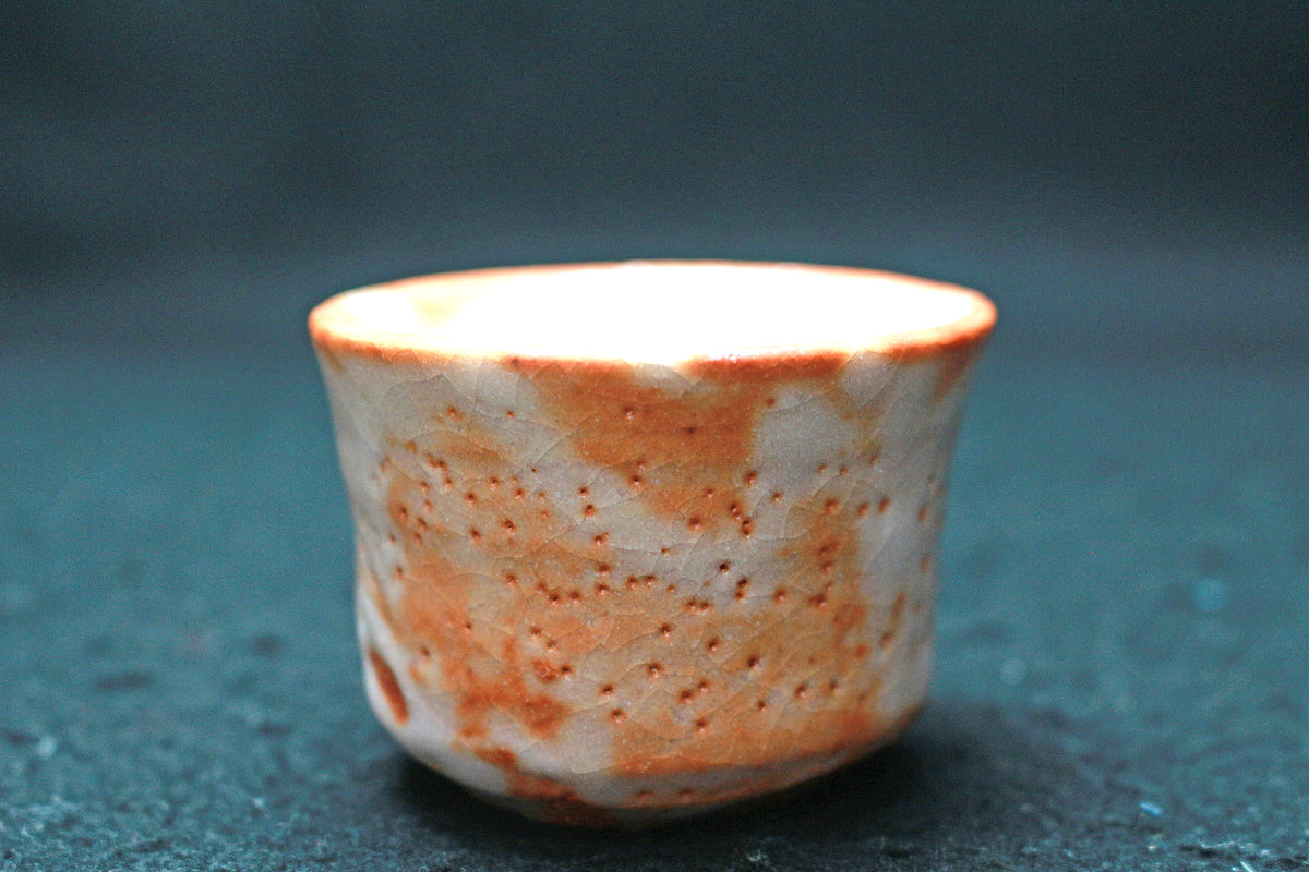 陶芸家 人間国宝 鈴木藏 鈴木蔵 志野 ぐい呑 志埜 酒器 酒盃 共箱 鈴木