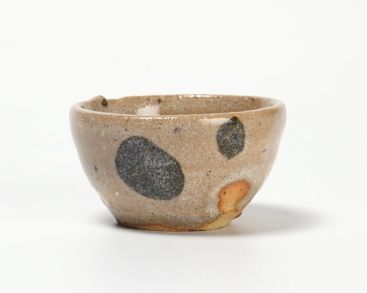 中国美術 色絵 細密 犬 絵 煎茶碗 十件 揃 雍正年製 書(A434) 中国美術