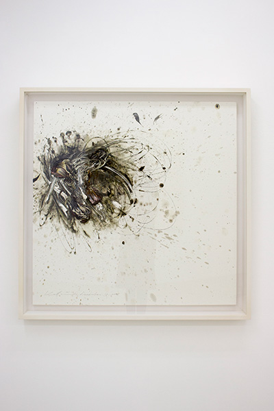 法貴信也 個展」「館勝生 展」：キュレーターズノート｜美術館・アート