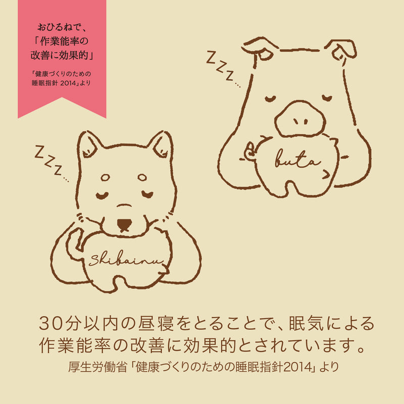 ボディ・フェイスケア AX-KXL4100 ボディ・フェイスケア AX-KXL4100