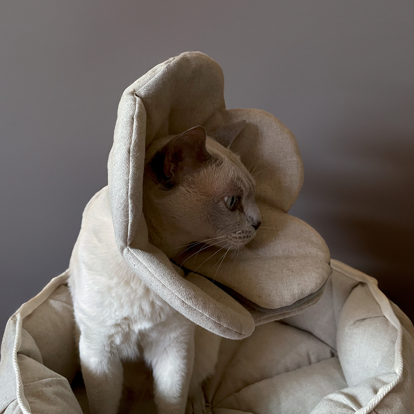 犬 猫 ペット ベッド | スナッグルベッド「小さめサイズで抱っこのよう