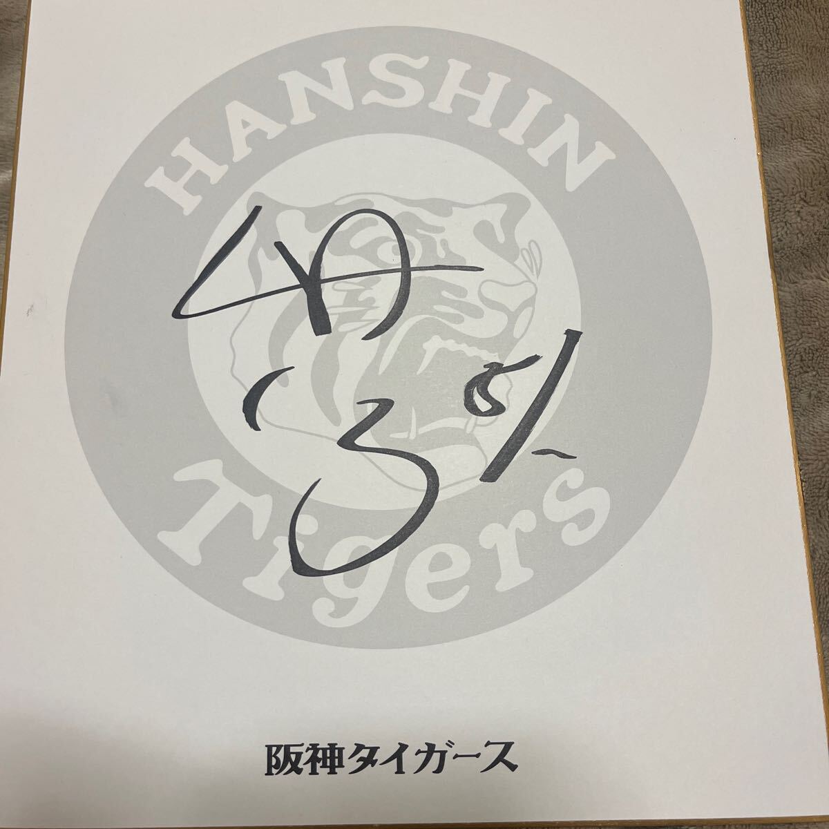 貴重】大阪タイガース（現 阪神タイガース）選手21名 寄書き(サイン)