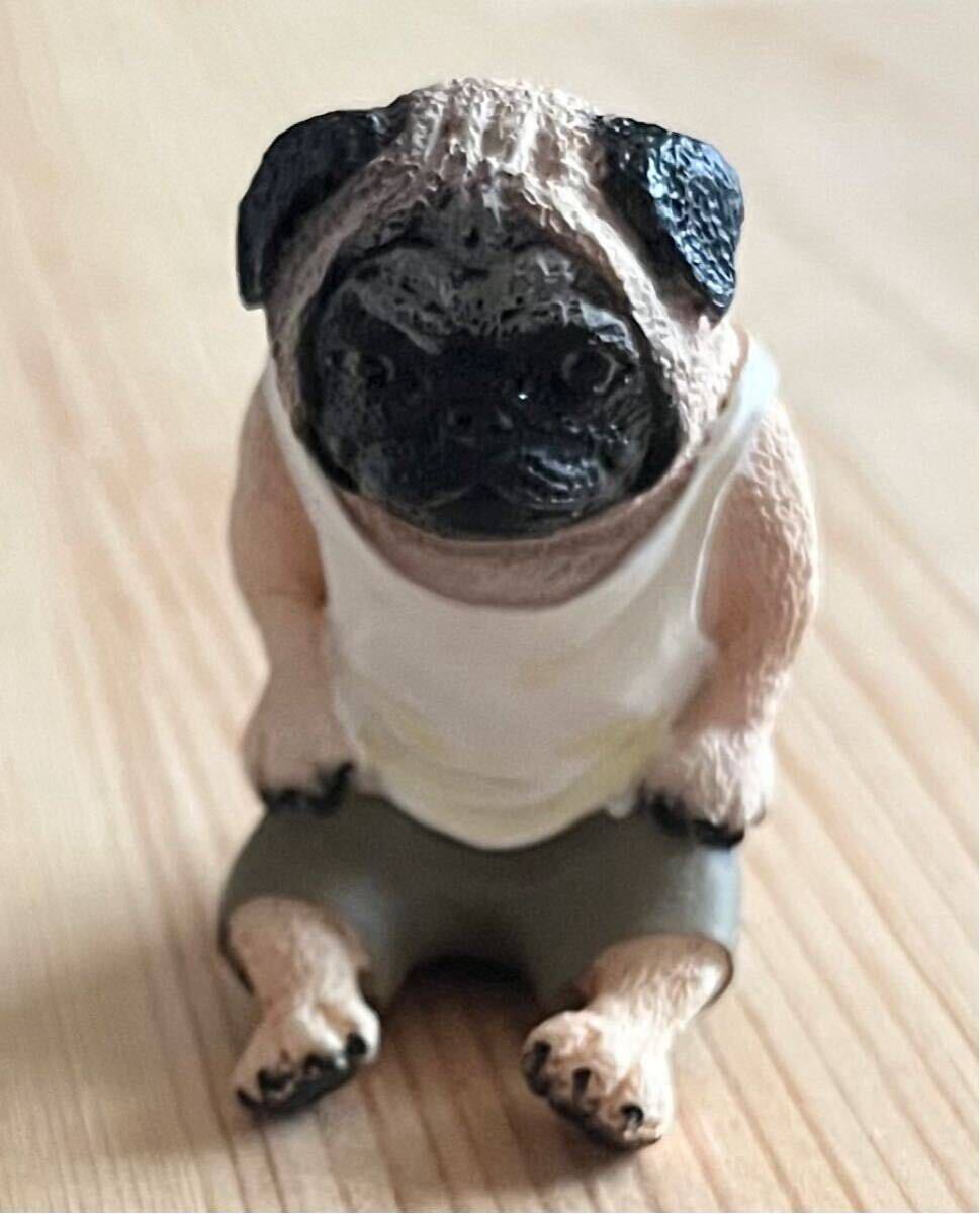 ◇ユージン フィギュア 朝隈俊男コレクション 犬の生活 パグ 動物 犬 中古