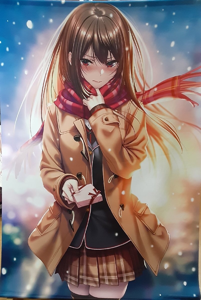 ピロ水 タペストリー BONNOU FESTIVAL 108 NO.42 ピロ水 タペストリー