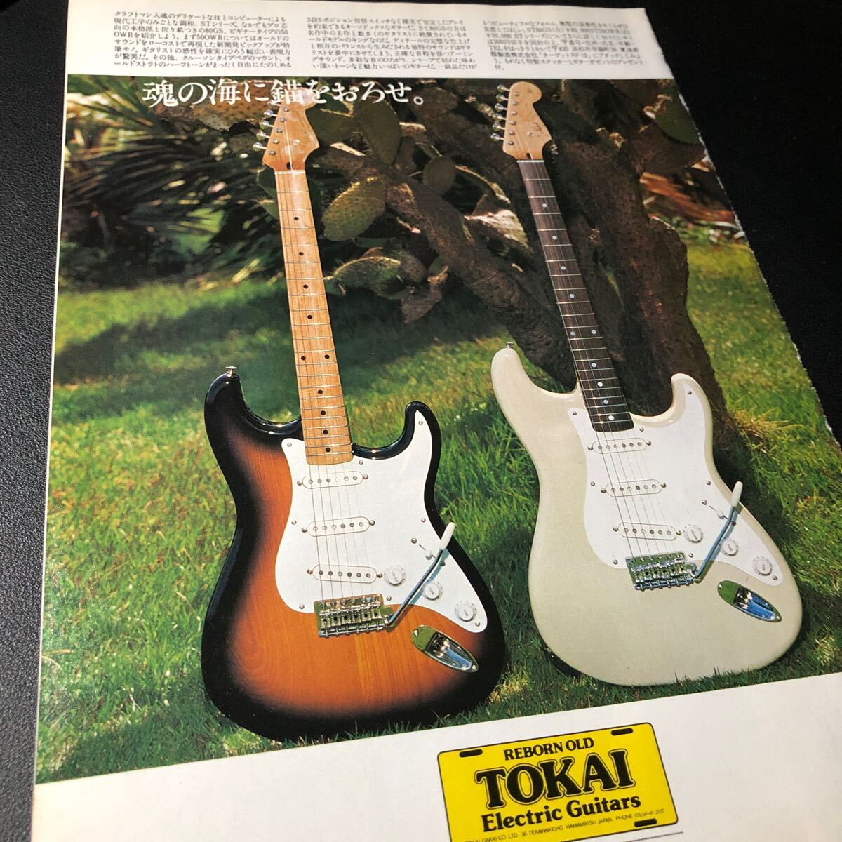 2026年最新】Yahoo!オークション -トーカイ ストラトキャスターの中古