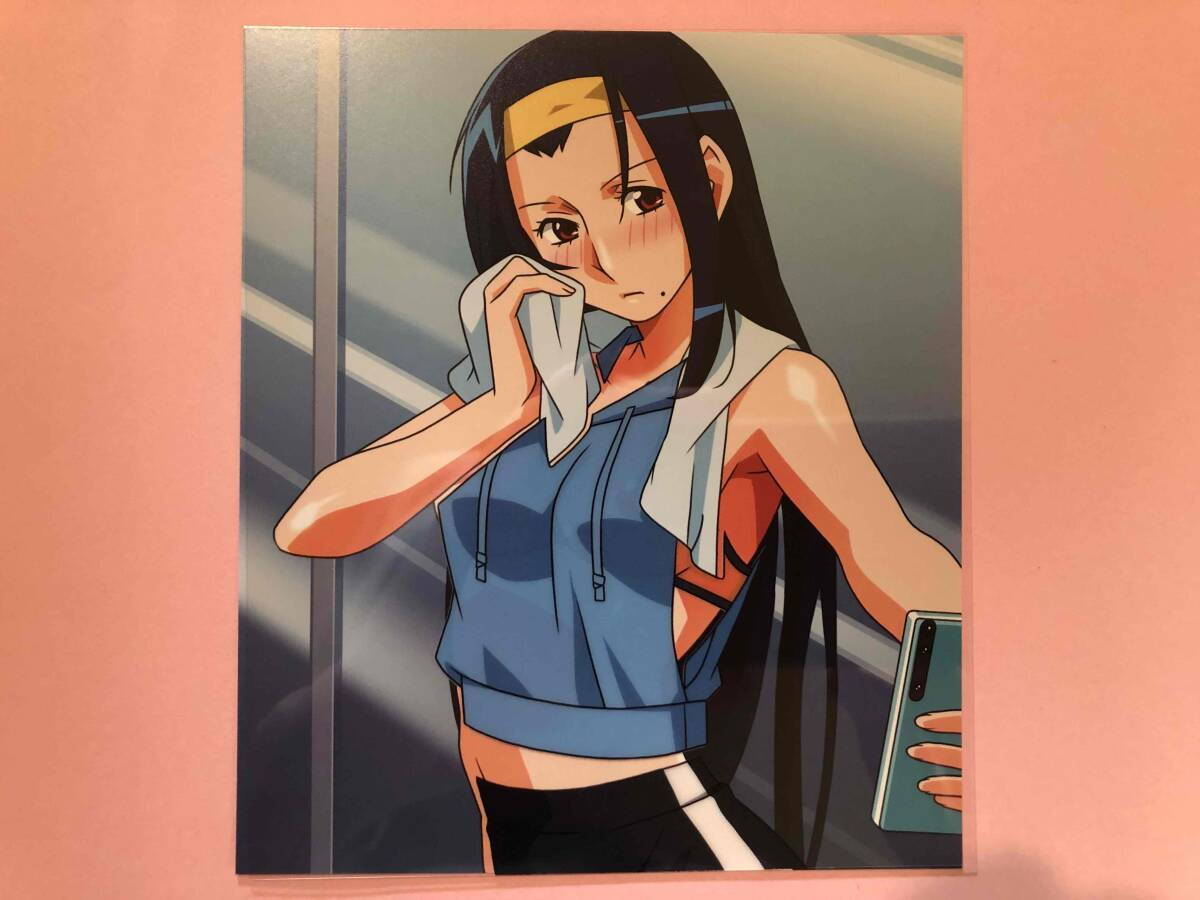 激レア 非売品】スーパーリアル麻雀 カレンダーカード 激レア 非売品