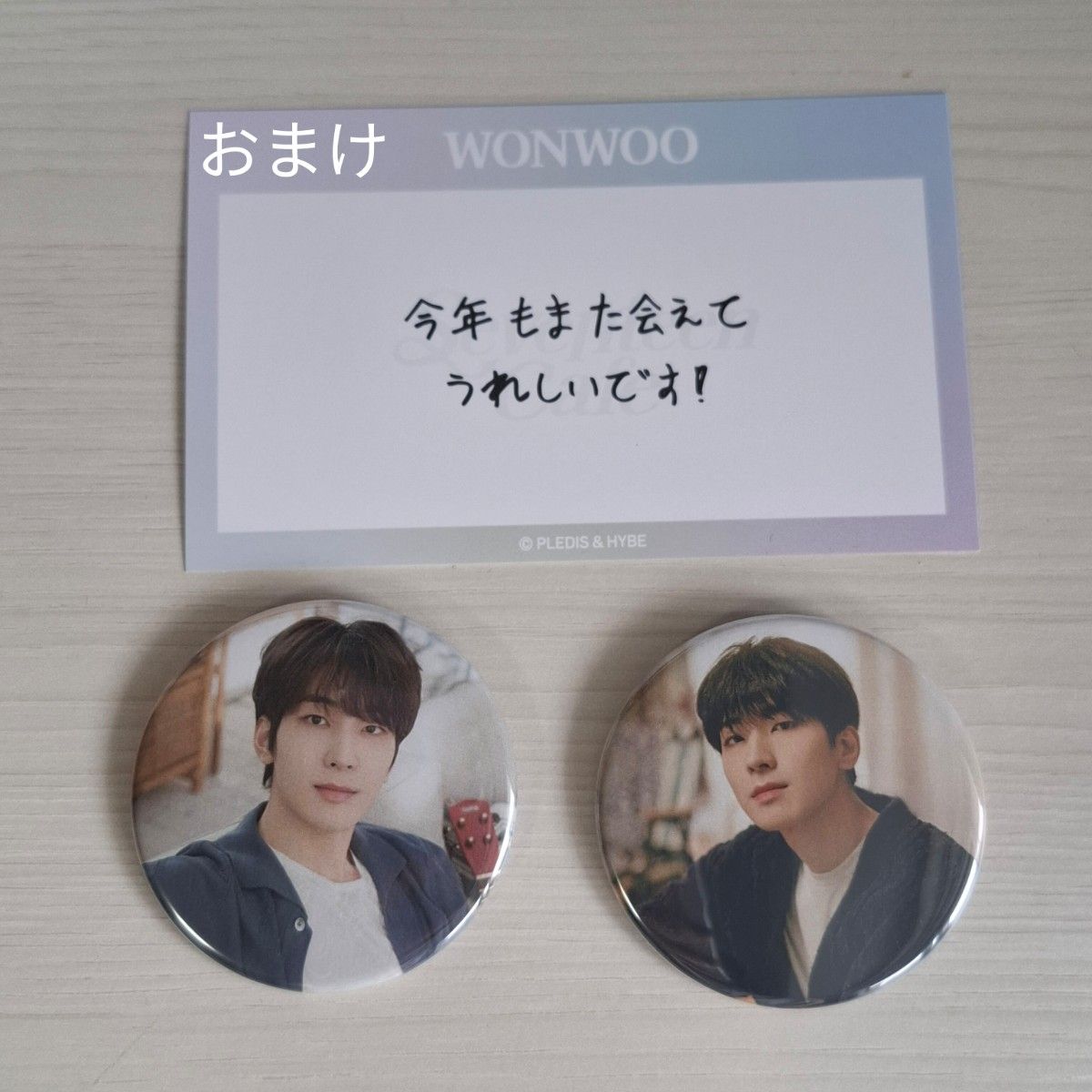 SEVENTEEN セブチ ウォヌ Wonwoo 缶バッチ follow Follow Again ウォヌ