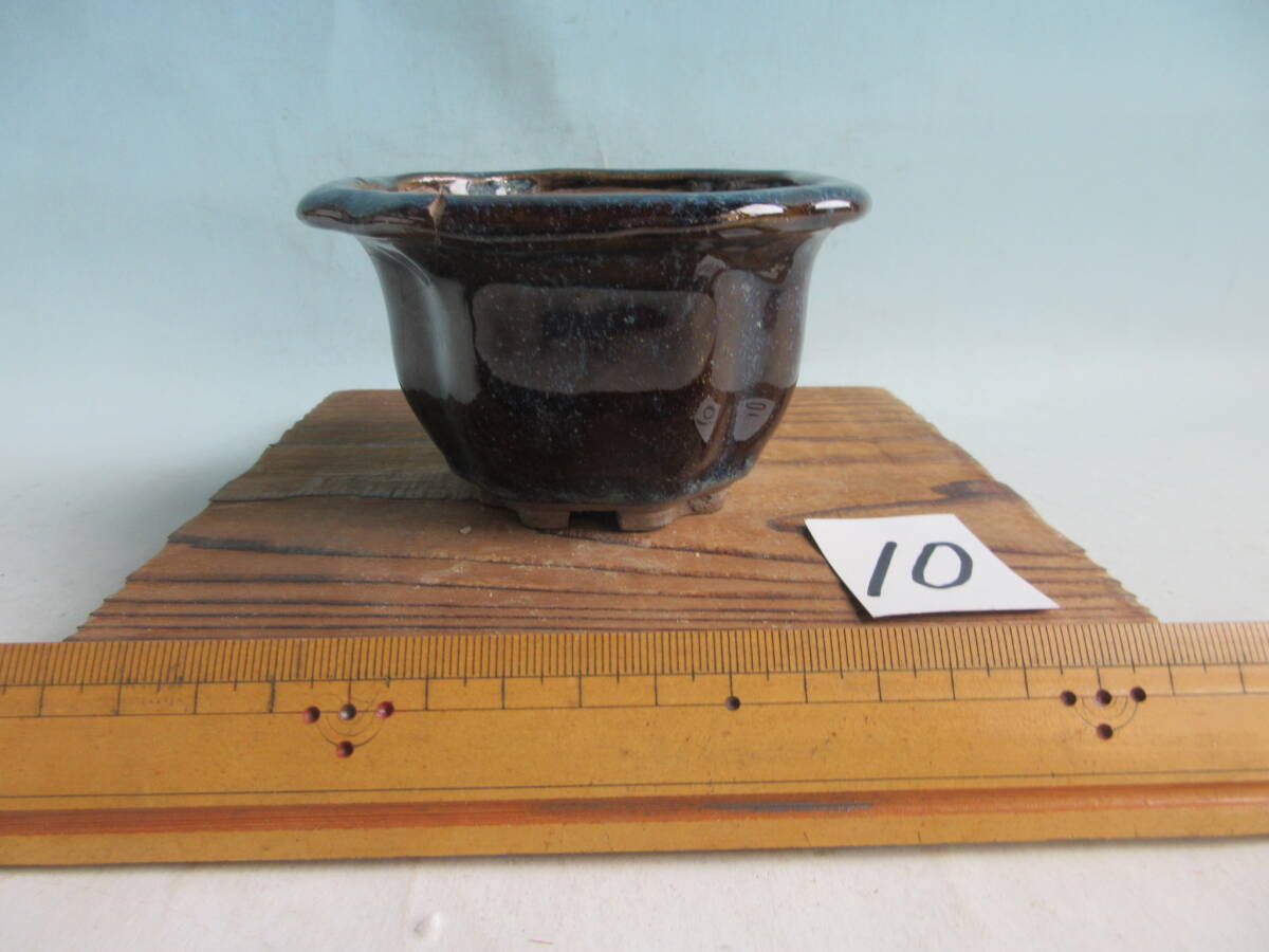 ☆盆栽日和☆ 和鉢 染付け隅切段足長方鉢・在