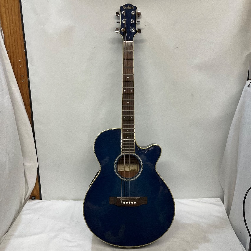 エレアコースティックギター プロマーチン Pro Martin