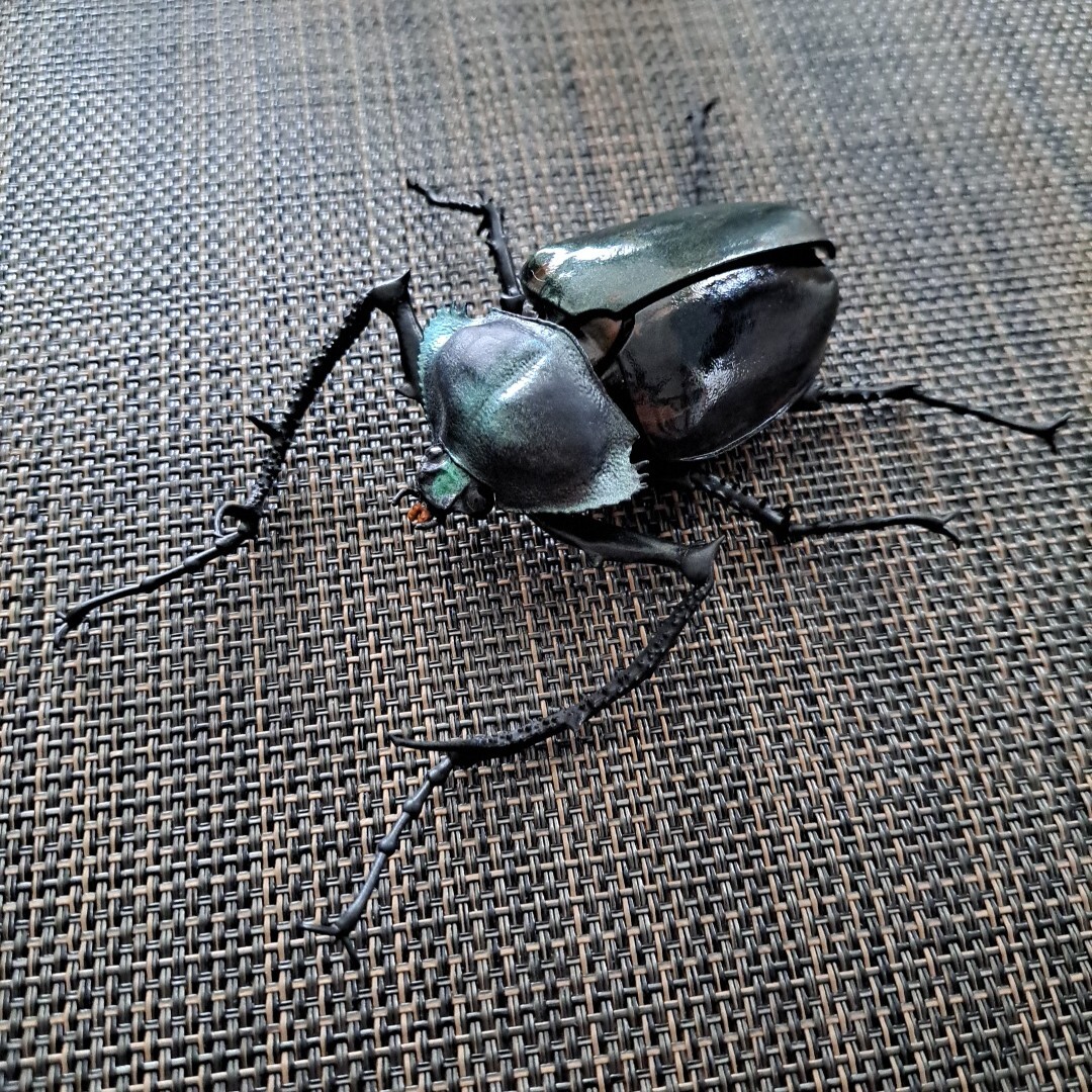 2026年最新】Yahoo!オークション -テナガコガネ(おもちゃ、ゲーム)の