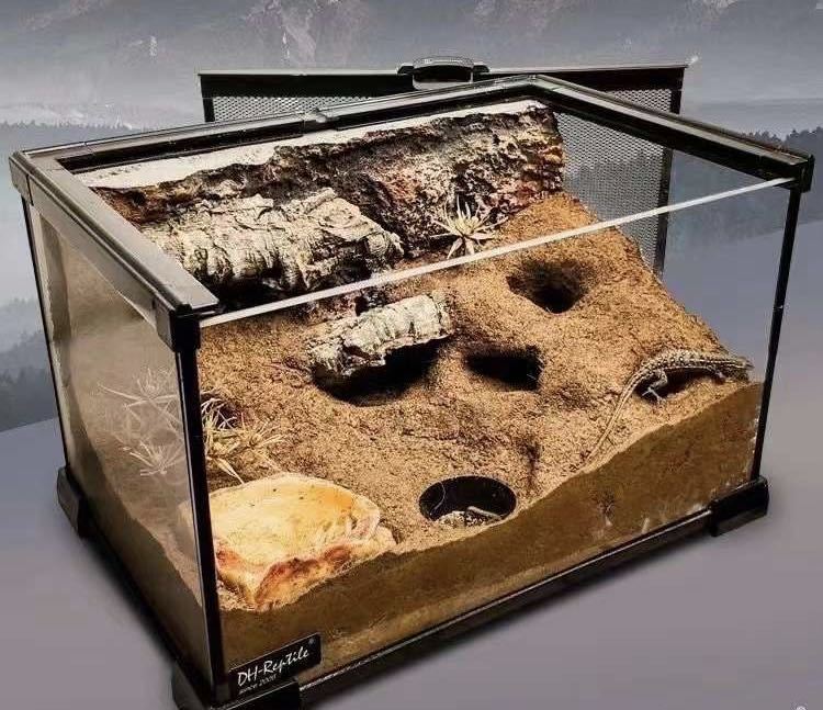 中古 爬虫類飼育セット 手渡しのみ 中古 爬虫類飼育セット 手渡しのみ