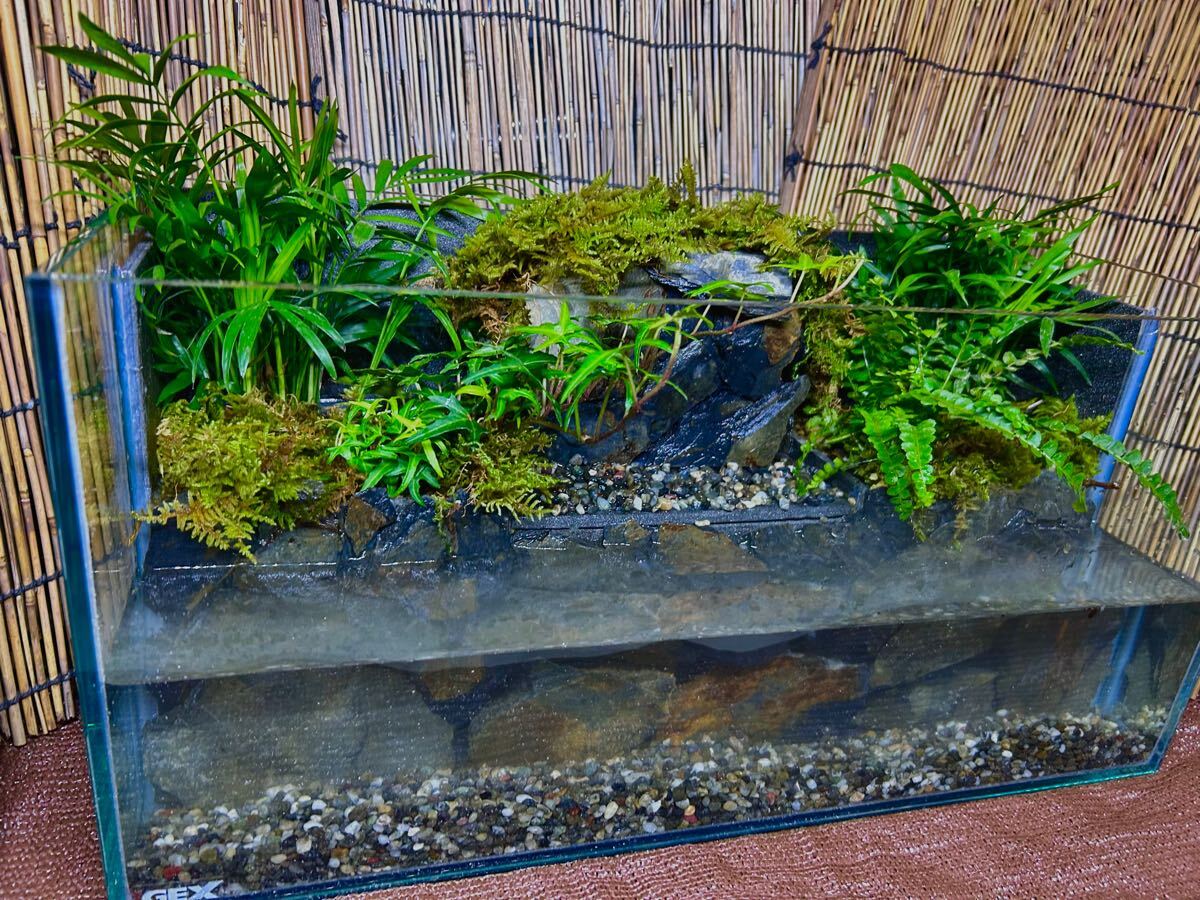水の流れる滝テラリウム水槽 苔テラリウム オールガラス45｜Yahoo