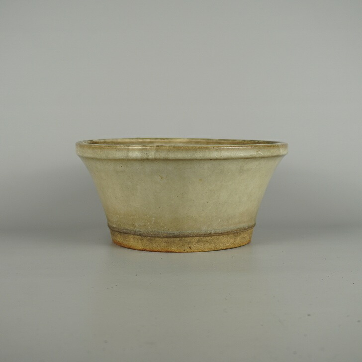 2026年最新】Yahoo!オークション -白交趾(鉢)の中古品・新品・未使用品一覧