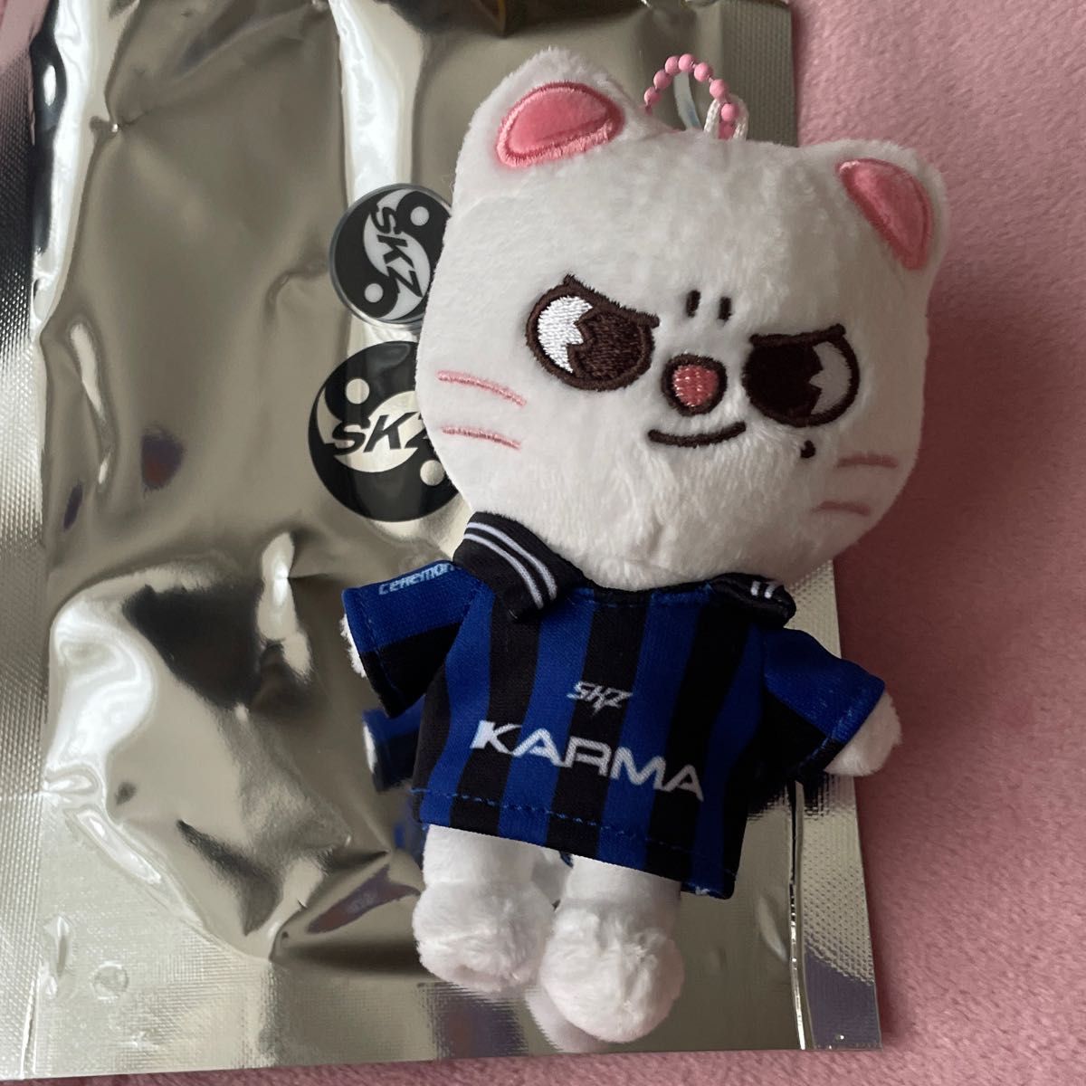 StrayKids SKZOO ジニレット テディベア ペンミ StrayKids SKZOO