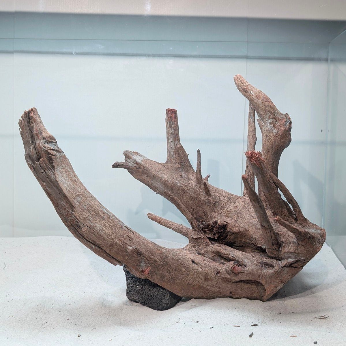 MSRW-5934天然流木レイアウトセット スリムウッド アクアリウム｜Yahoo