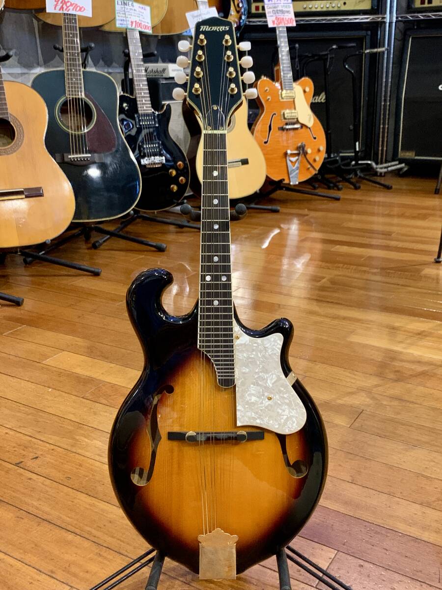 Yahoo!オークション -「morris」(弦楽器) (楽器、器材)の落札相場