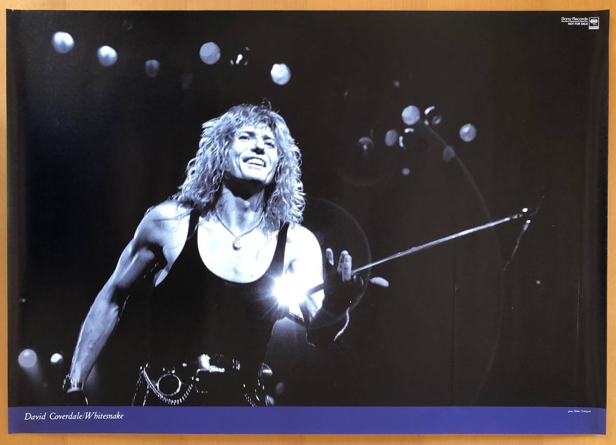 2026年最新】Yahoo!オークション -coverdale(ポスター)の中古品・新品