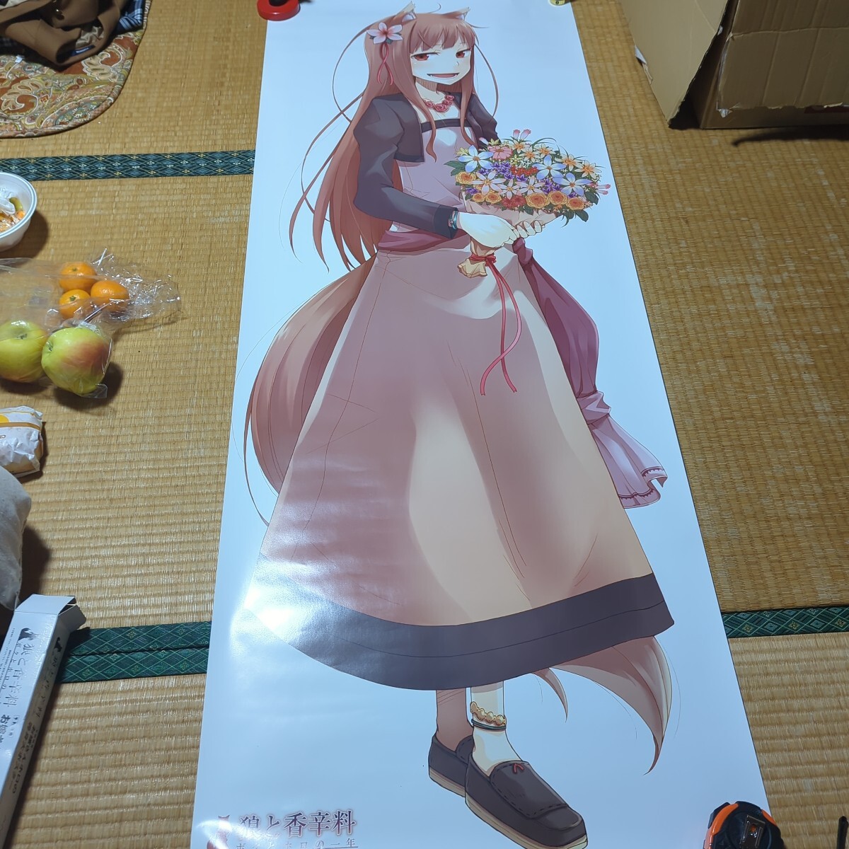 Yahoo!オークション -「狼と香辛料 ボクとホロの一年」の落札相場