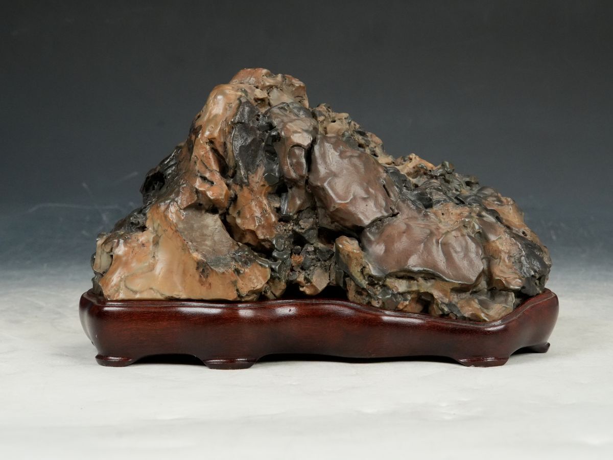 Yahoo!オークション -「紫雲石」(花、園芸) の落札相場・落札価格