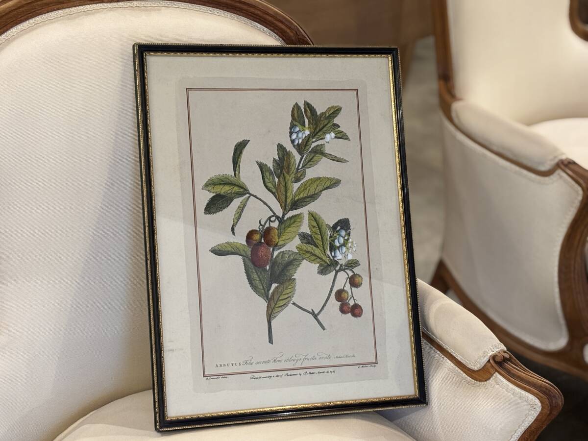 2026年最新】Yahoo!オークション -18世紀 版画(銅版画、エッチング)の