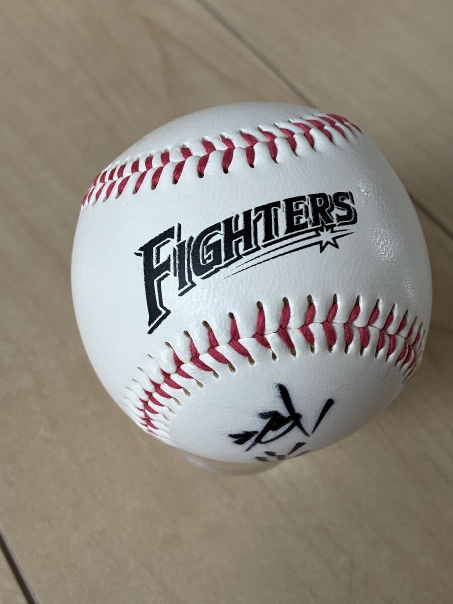 北海道日本ハムファイターズ 直筆サインボール 10個セット 北山 稲葉