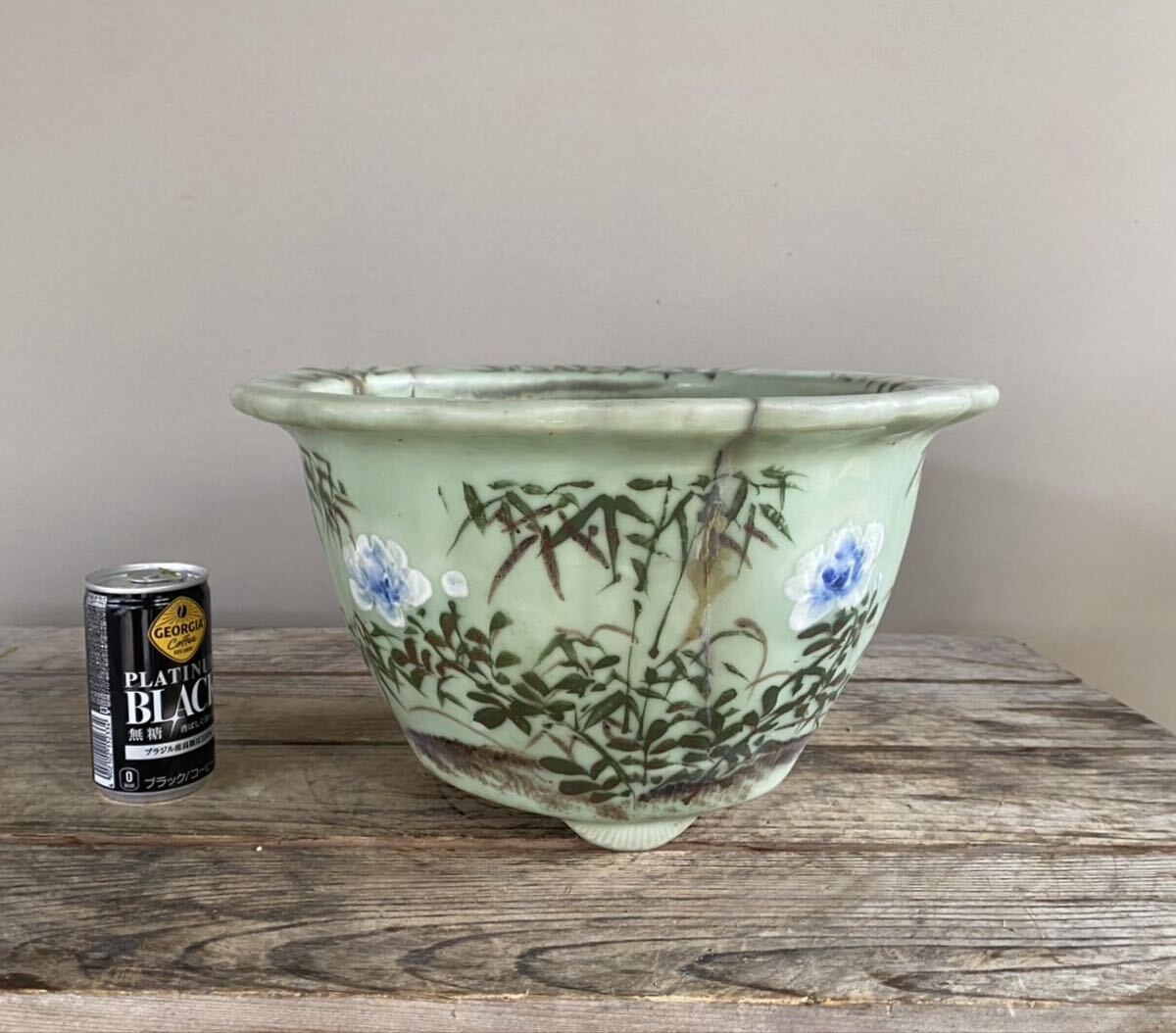 Yahoo!オークション -「尾張 鉢」(盆栽) の落札相場・落札価格