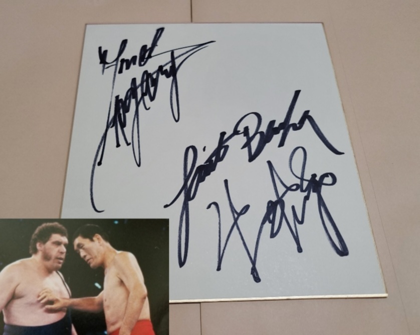 Yahoo!オークション -「アンドレザジャイアント サイン」の落札相場