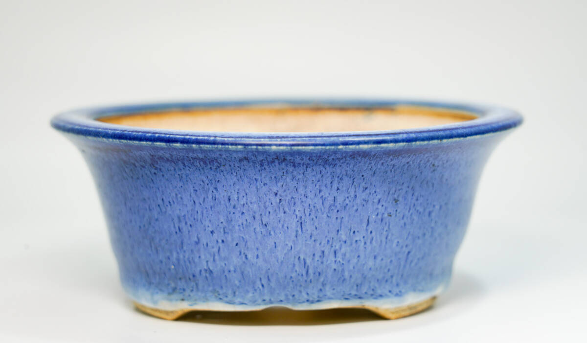 Yahoo!オークション -「堀江」(盆栽) の落札相場・落札価格