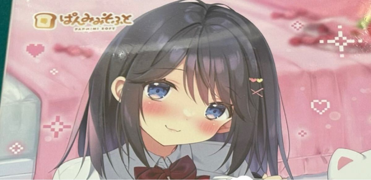 2026年最新】Yahoo!オークション -ぱん ぱんのみみの中古品・新品・未