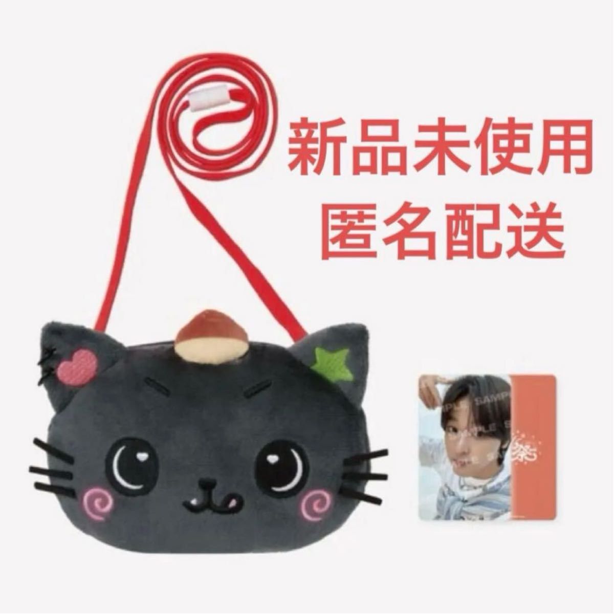 NCT WISH LOGin ソウルコン キャラクターバッグ リク｜Yahoo!フリマ