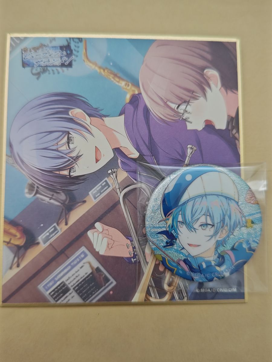 プロセカ 青柳冬弥 色紙 44c blender 特訓後 ミニ色紙コレクション