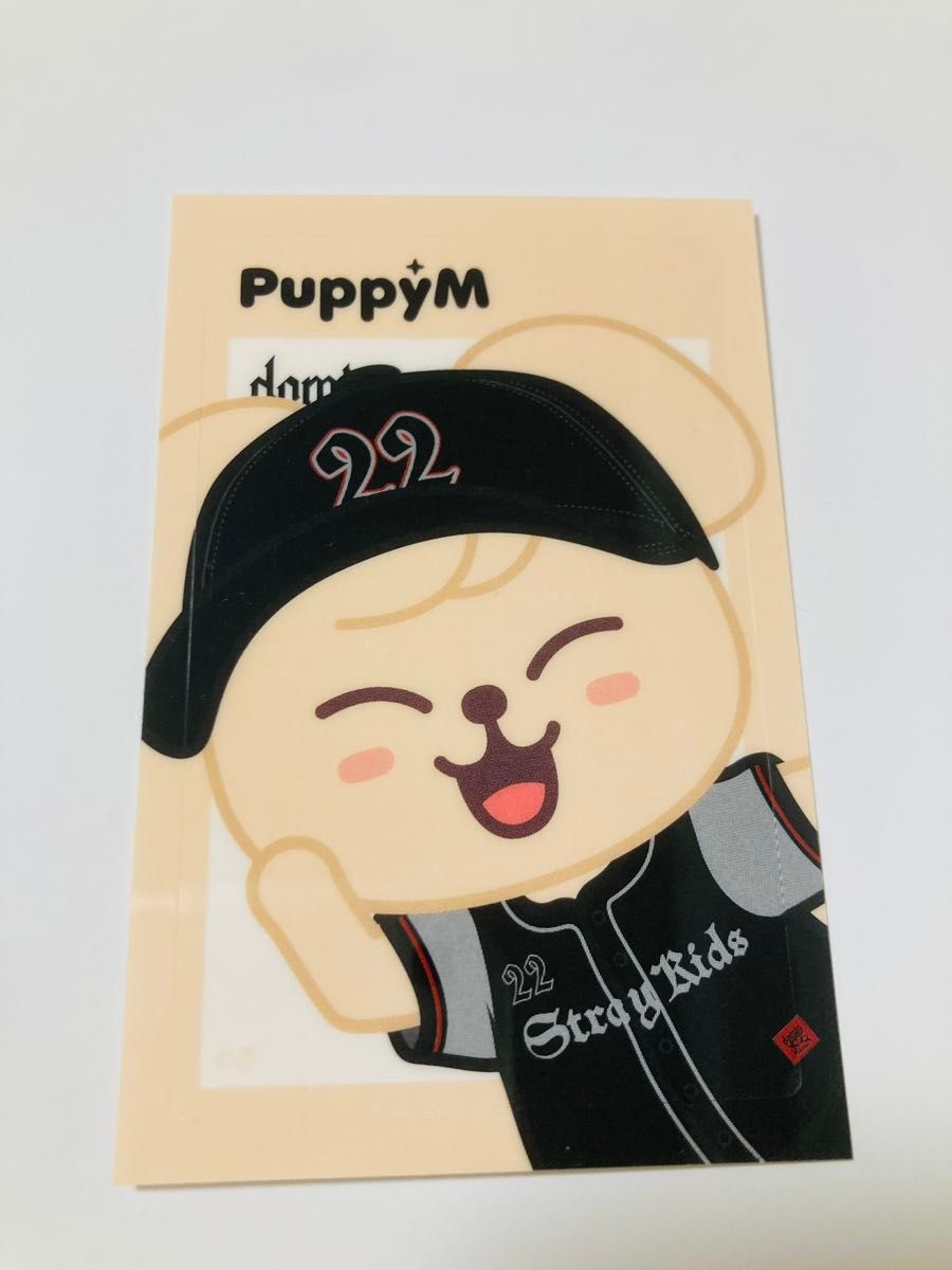 Stray kids スキズ skzoo popup ストレイキッズ スンミン パピーム