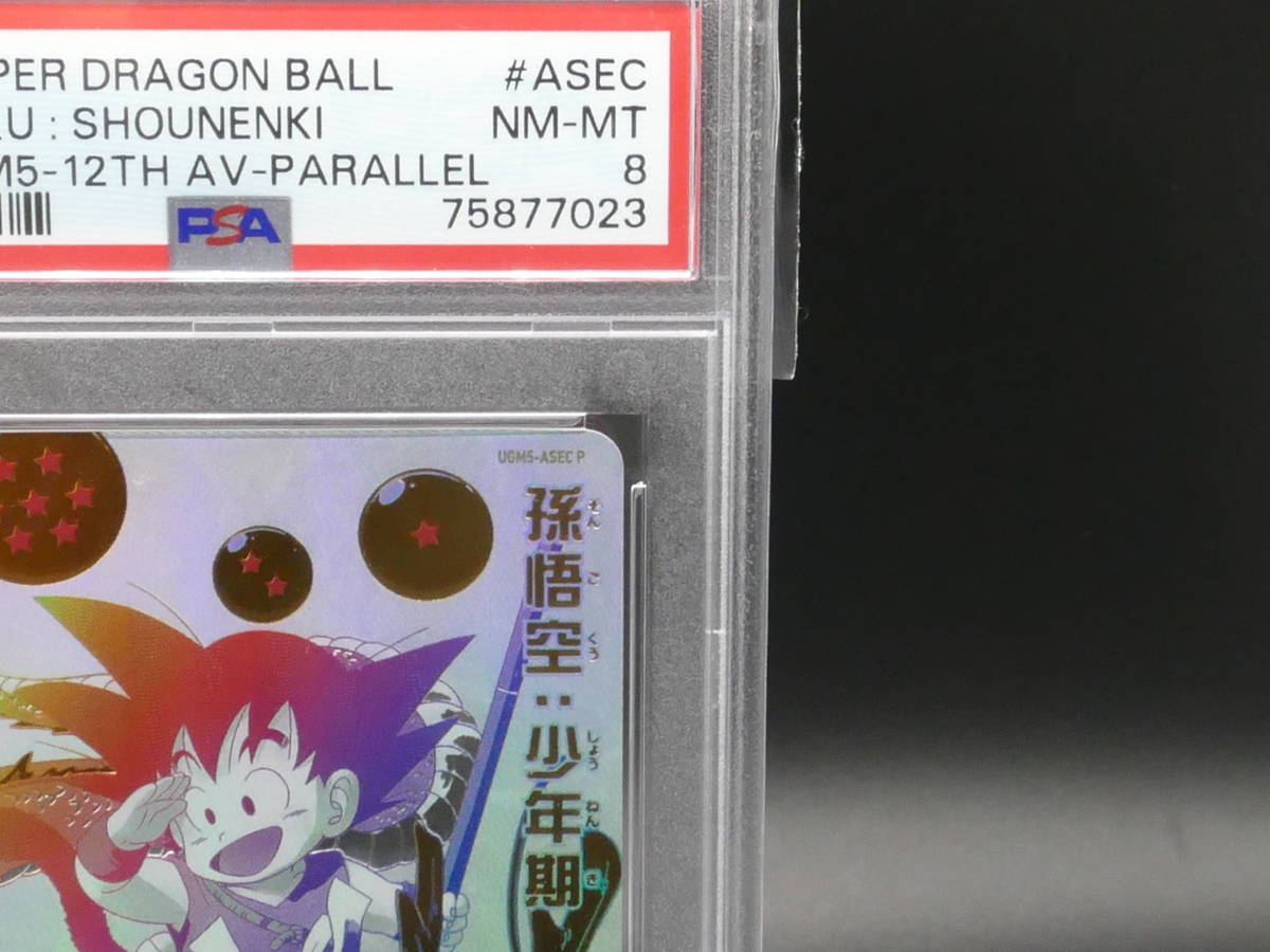 世界1枚 PSA8 チチ ドラゴンボール 乳 トレカ DRAGON BALL 世界1枚