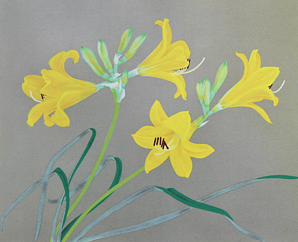 中島千波「袖之山枝垂櫻」シルクスクリーン 直筆サイン・落款・作品