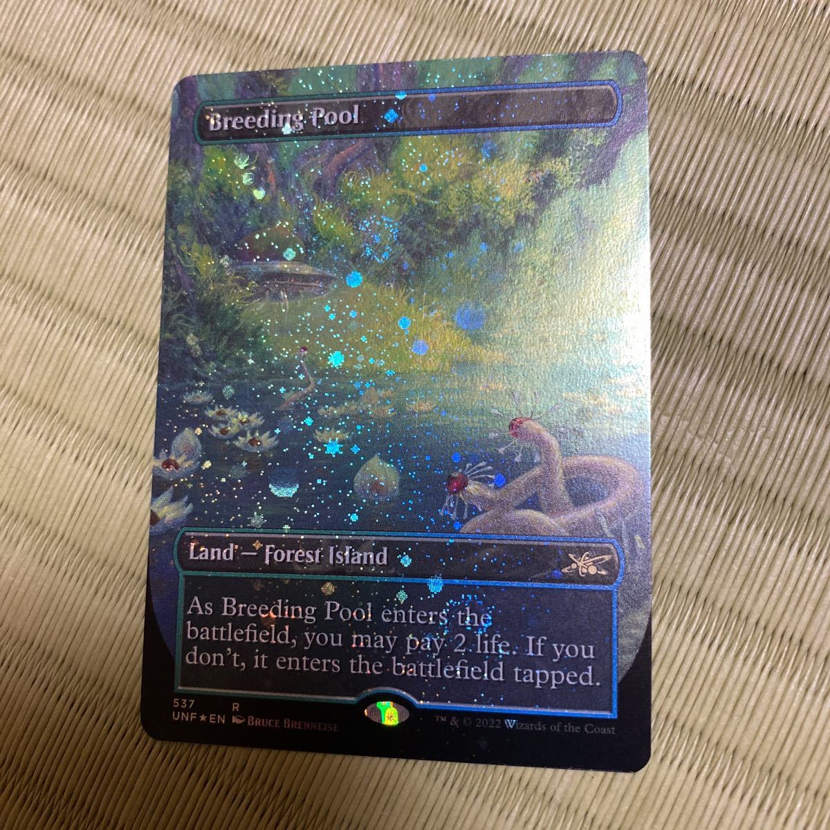 MTG Foil 繁殖池 Breeding Pool ギャラクシー 英語 MTG 繁殖池