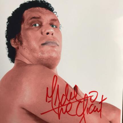 アンドレザジャイアンのYahoo!オークション(旧ヤフオク!)の相場・価格