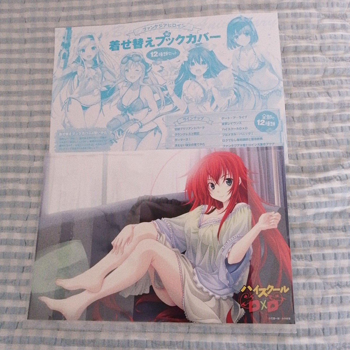 ハイスクールD×D ⑤ ゲーマーズ 特典 ブックカバー NOT FOR SALE ハイ