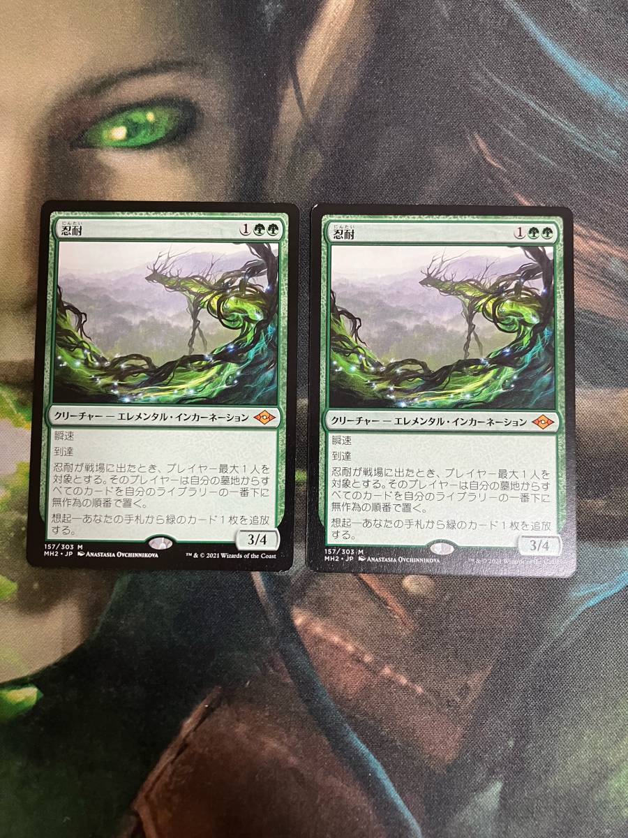 MTG 忍耐/Endurance 日本語 2枚セット MTG 忍耐⁄Endurance 日本語 (157)《