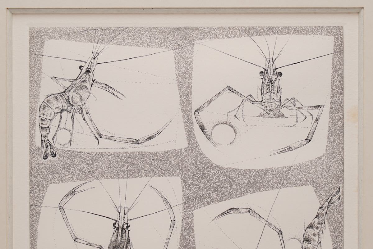 西内利夫 銅版画集 琵琶湖の仲間たち 全12点セット 西内利夫