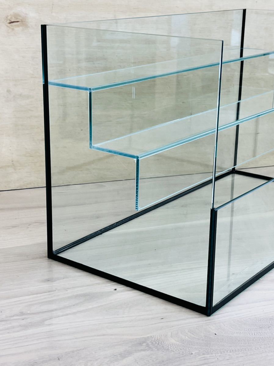 パルダリウム・テラリウム水槽600×300×360