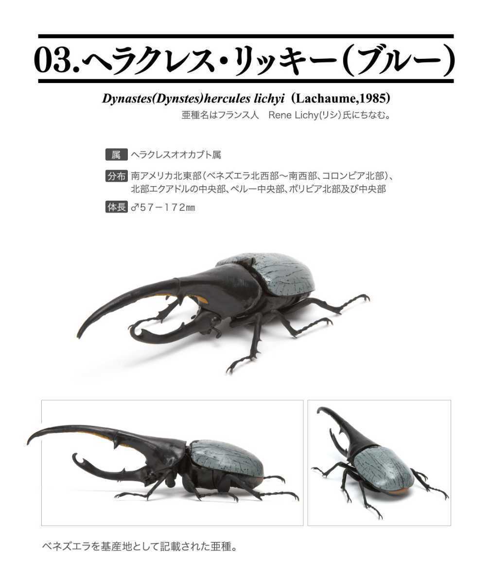 ヘルクレスリッキーブルー 2007 シャイニング ARS10 PSA10相当