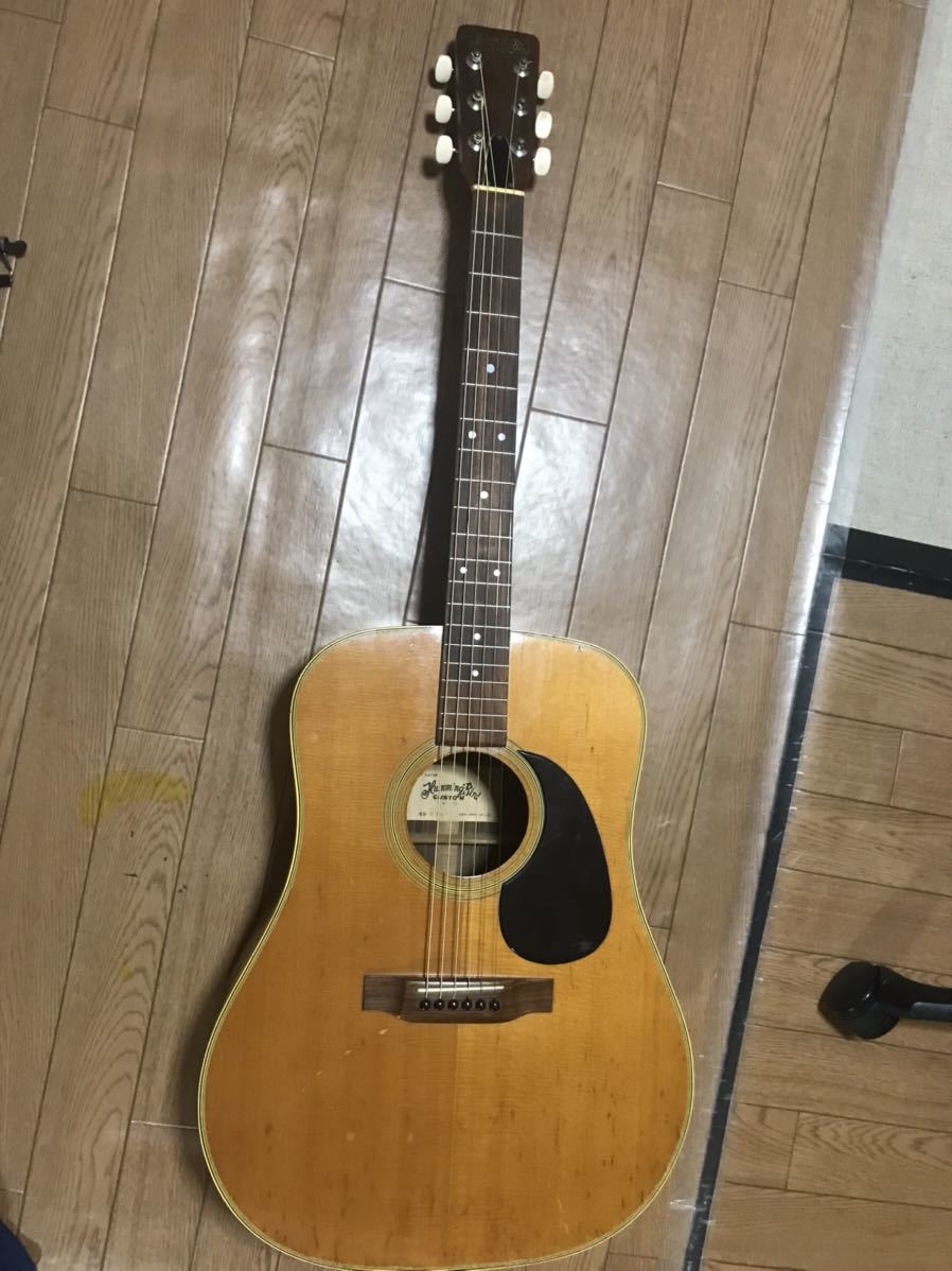 tokai hummingbird custom w-200