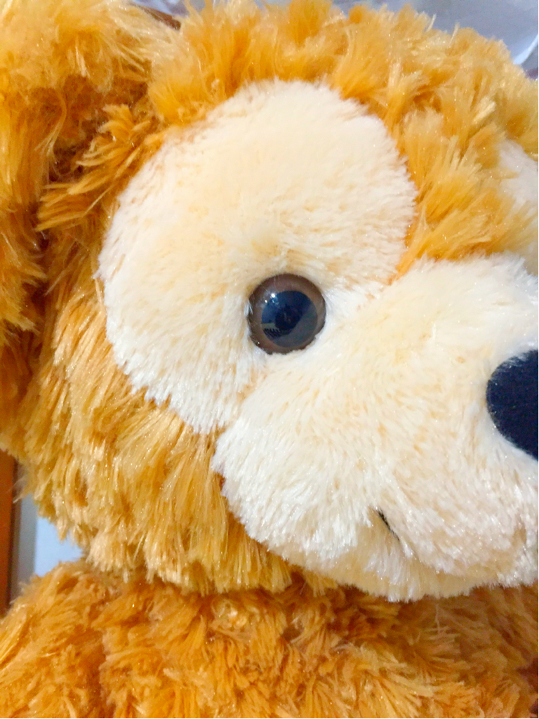 wdw ダッフィー 24インチ ぬいぐるみ