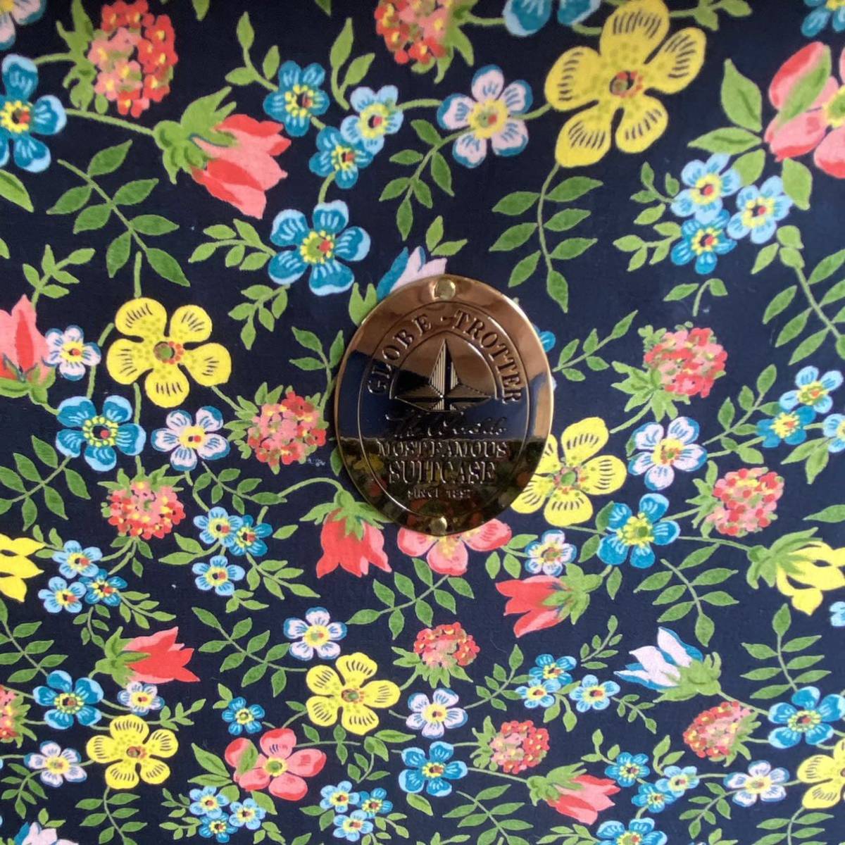 グローブトロッター シップス GLOBE-TROTTER SHIPS 21インチ 限定