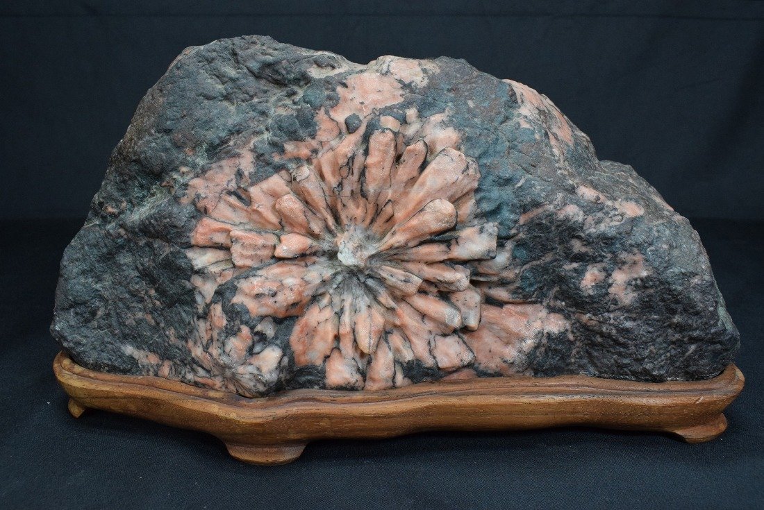 天然石 鑑賞石 菊花石 置物 重さ約921g C 8872 天然石 鑑賞石 菊花石