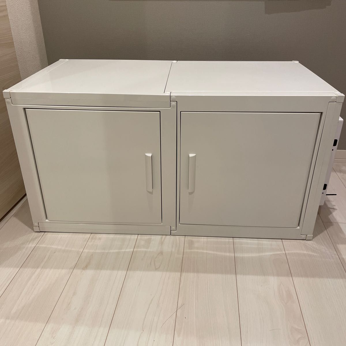 シーラケース 冷やし虫家(2) 【公式通販】