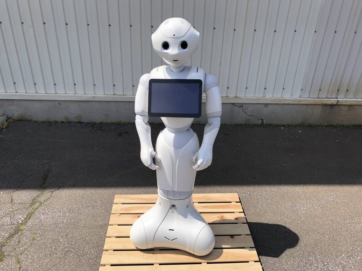 ジャンク品 Softbank Pepper ペッパーくん 2016年2月 売れ筋 一般販売