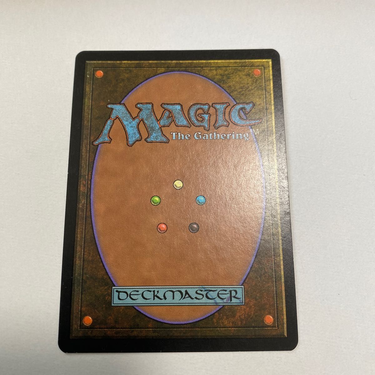 MTG 【Foil】暴露（日本語版） MTG 【Foil】暴露（日本語版）