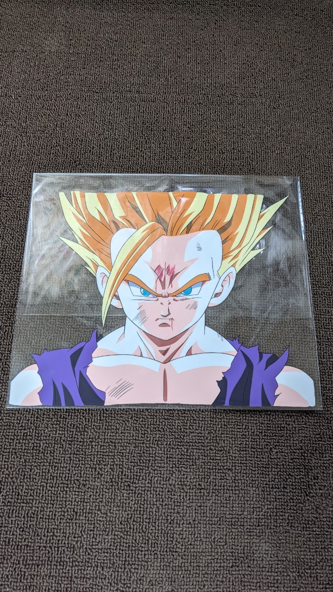 ドラゴンボール 孫悟飯 セル画 ドラゴンボール セル画 孫悟飯 セル画